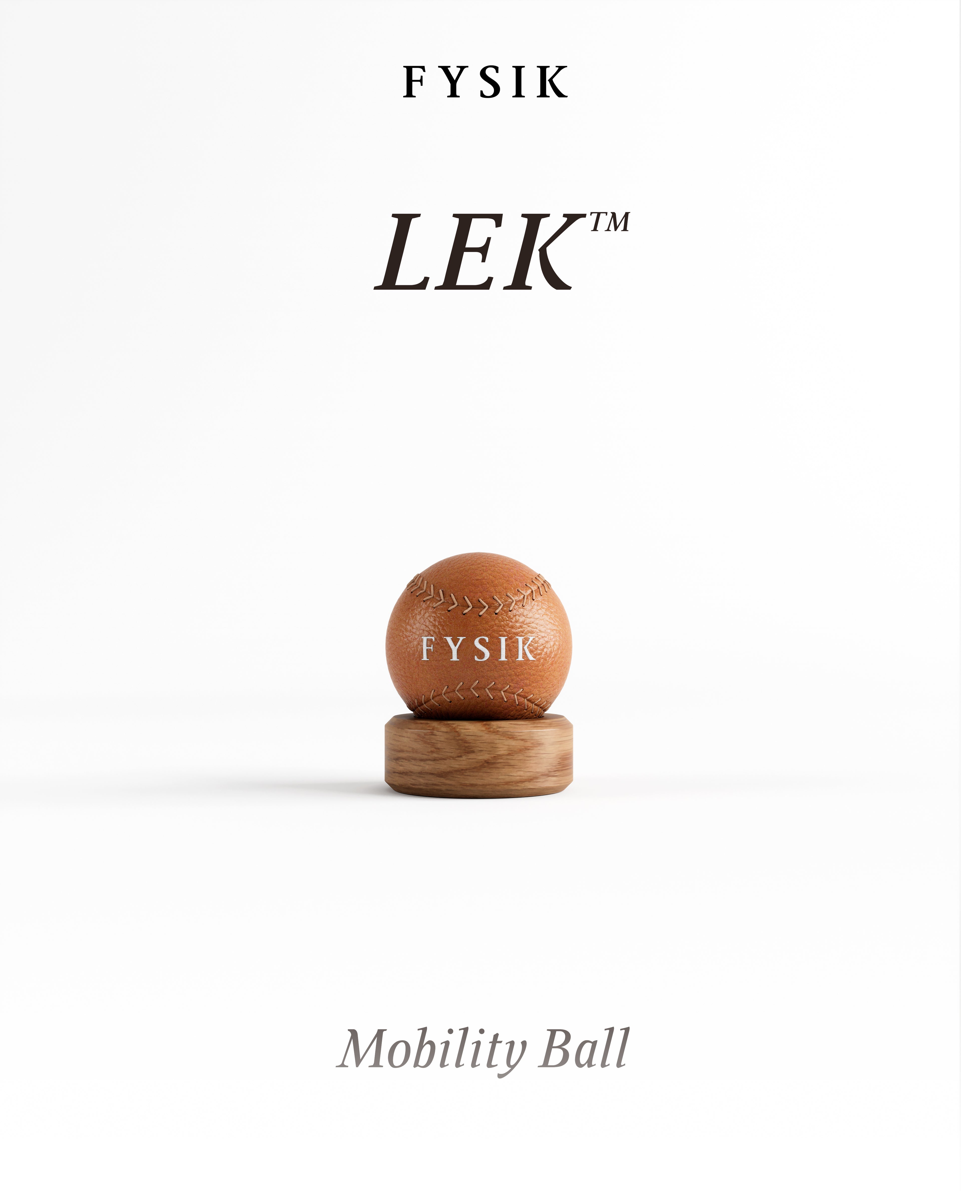 Fysik | LEK Mobility Ball
