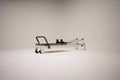 Queen Studio Reformer