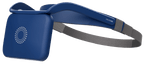 NeuroVIZR