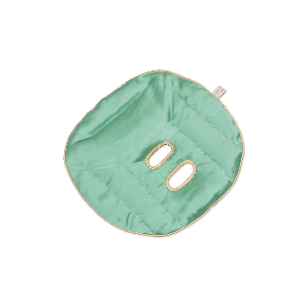 Holistic Silk | Silk Face Pillow