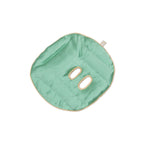 Holistic Silk | Silk Face Pillow