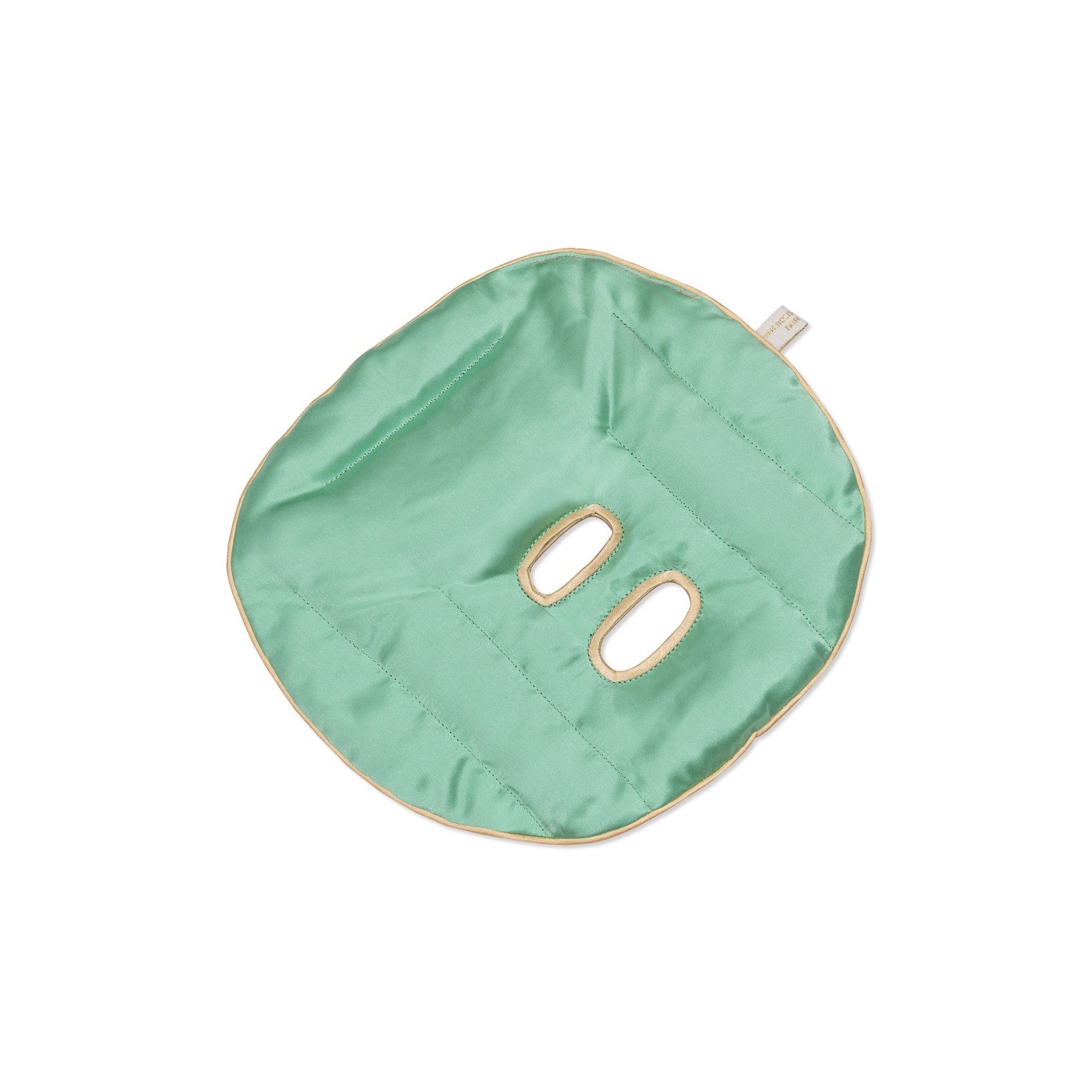 Holistic Silk | Silk Face Pillow