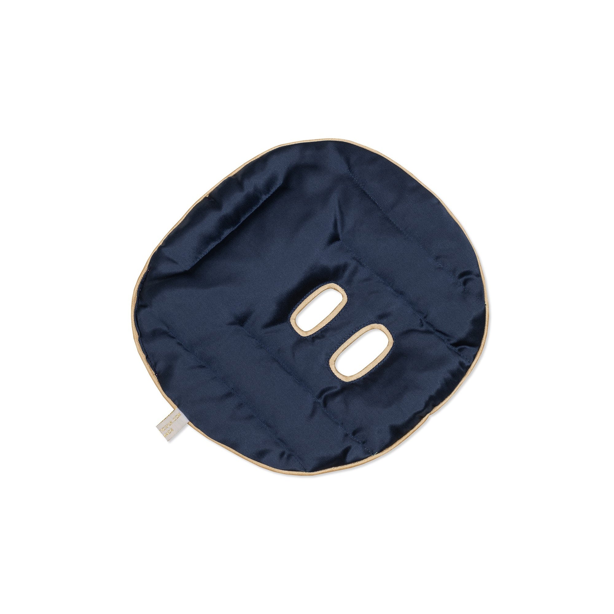 Holistic Silk | Silk Face Pillow