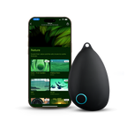 Sensate Vagus Nerve Toning Device next to smartphone showing nature sounds for calming the brain.