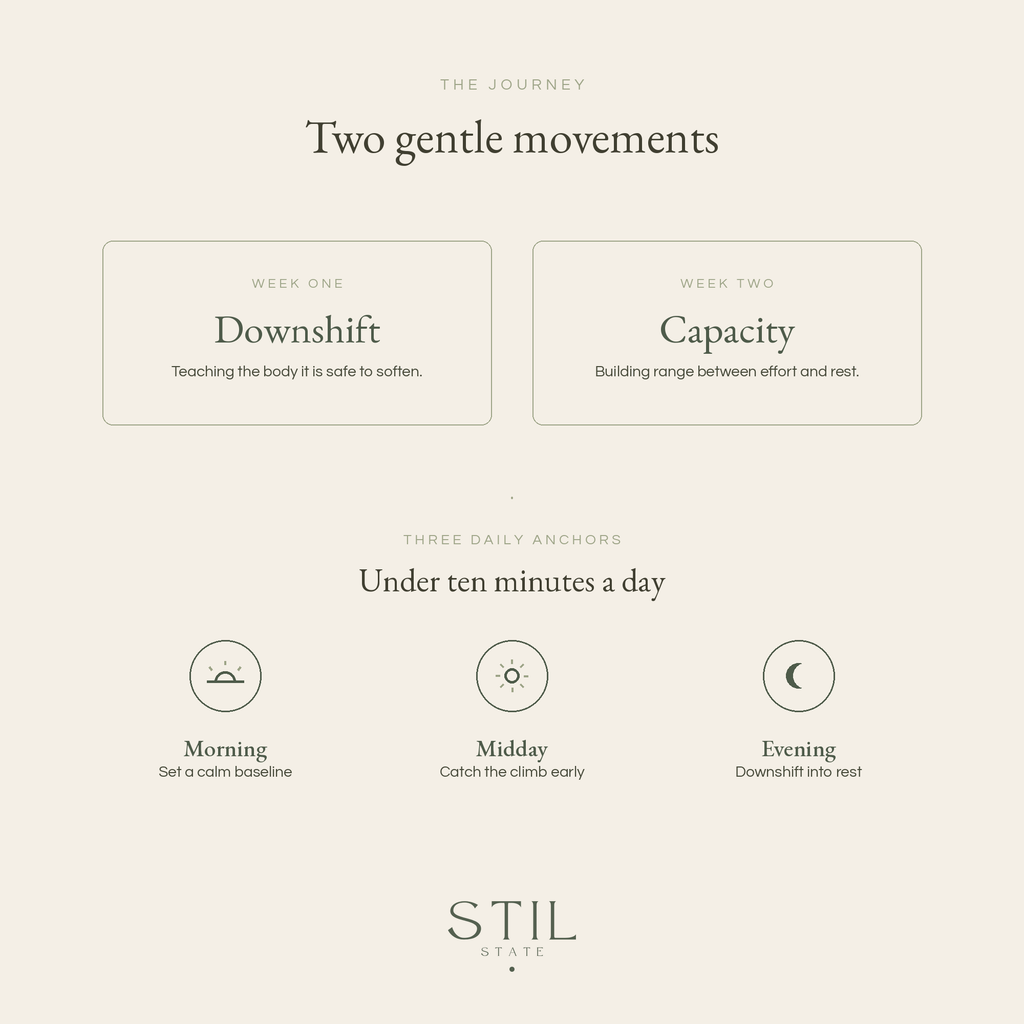 Image illustrating The Journey: Two gentle movements, Downshift and Capacity, with daily anchors for mindfulness.