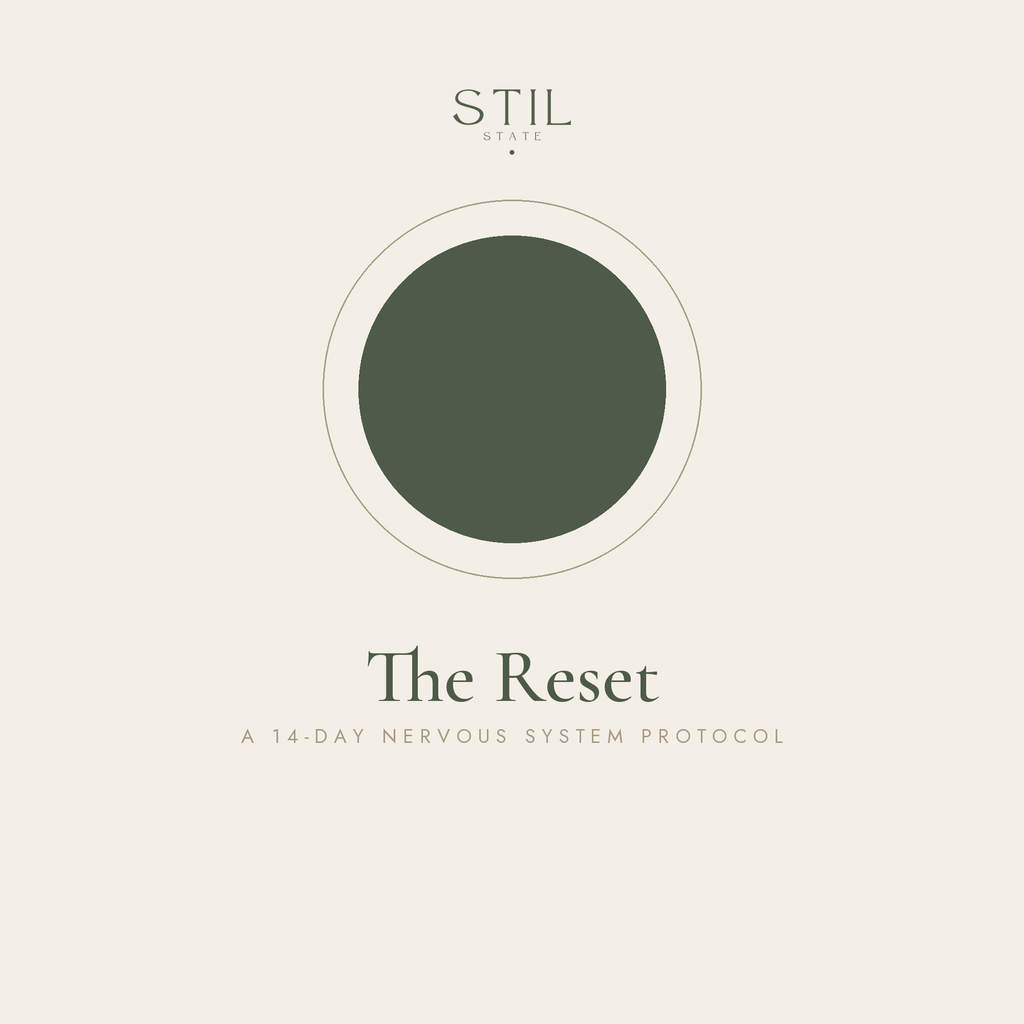 The Reset | A 14-Day Nervous System Protocol
